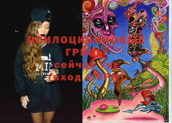 2c-b Михайловка