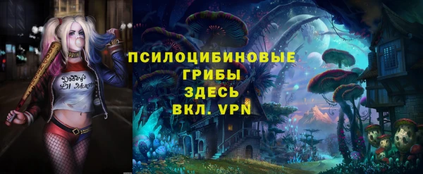 2c-b Михайловка