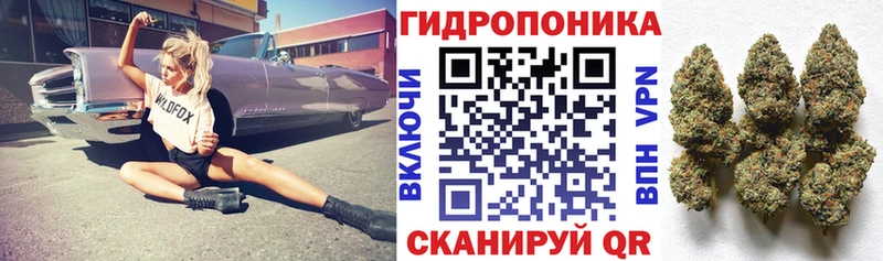 Купить закладки  Назрань  Каннабис LSD WEED 